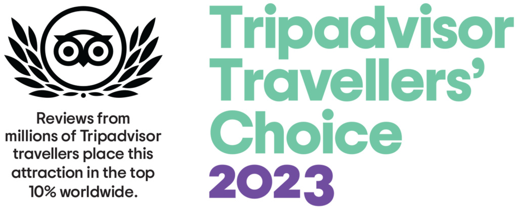 Tripadvisor: Tripadvisor Travellers Choice 2023 - Yinyang Connection Spa